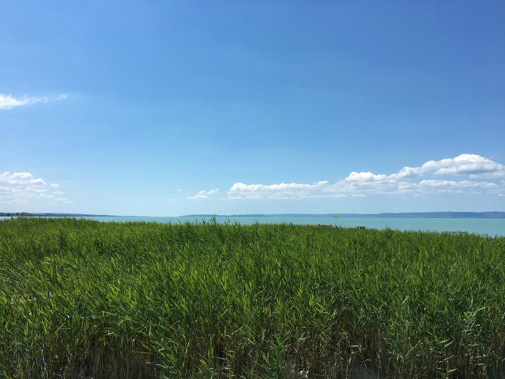Residence At Lake Balaton 시오포크 외부 사진